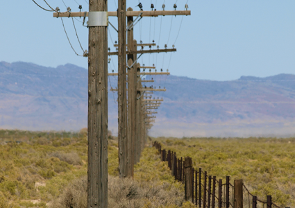 Деревянные опоры ЛЭП в качестве альтернативы железобетонным